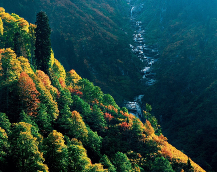 Doğu Karadeniz ve Batum Turu 